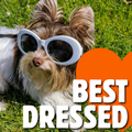 Best Dressed