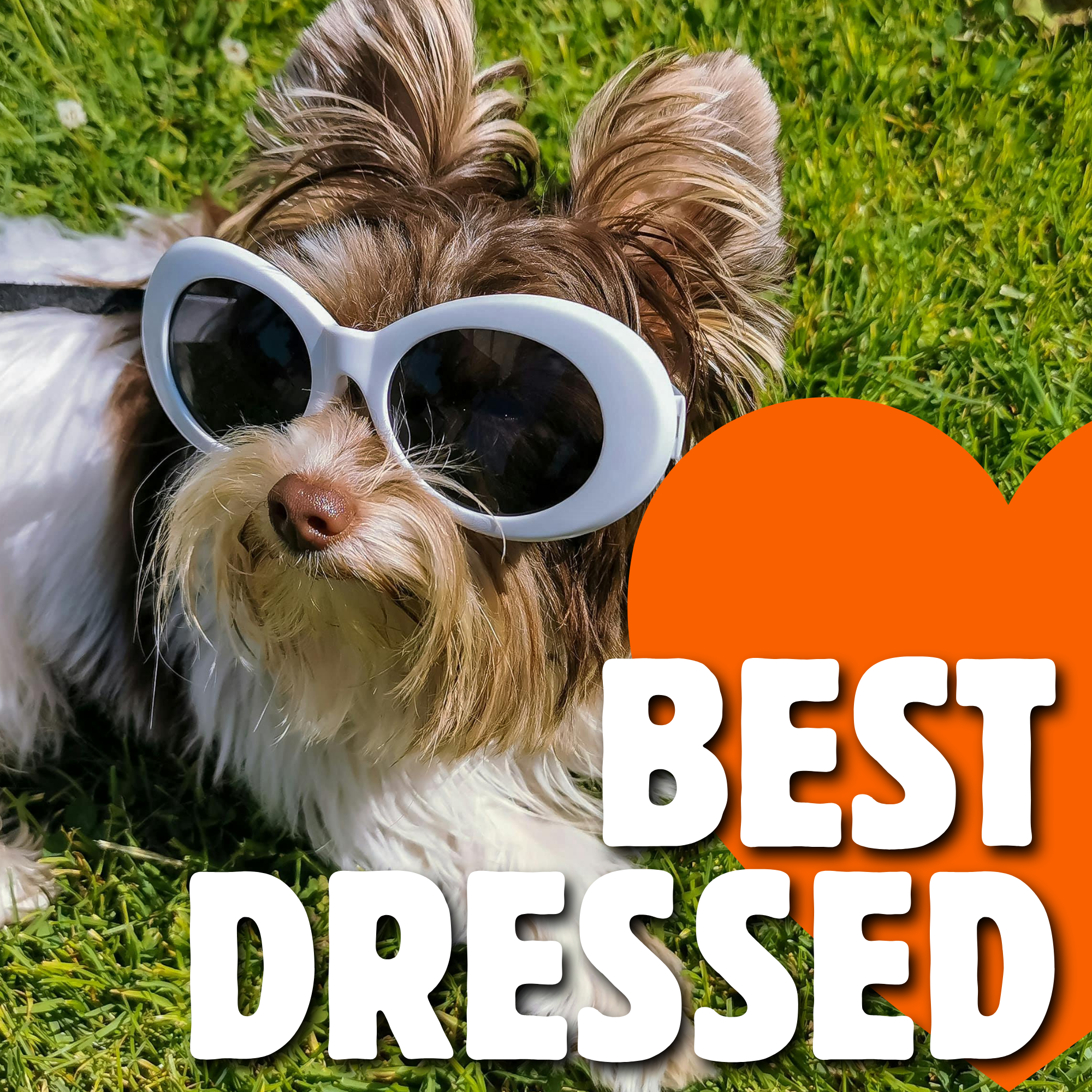 Best Dressed
