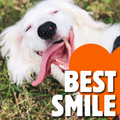 Best Smile
