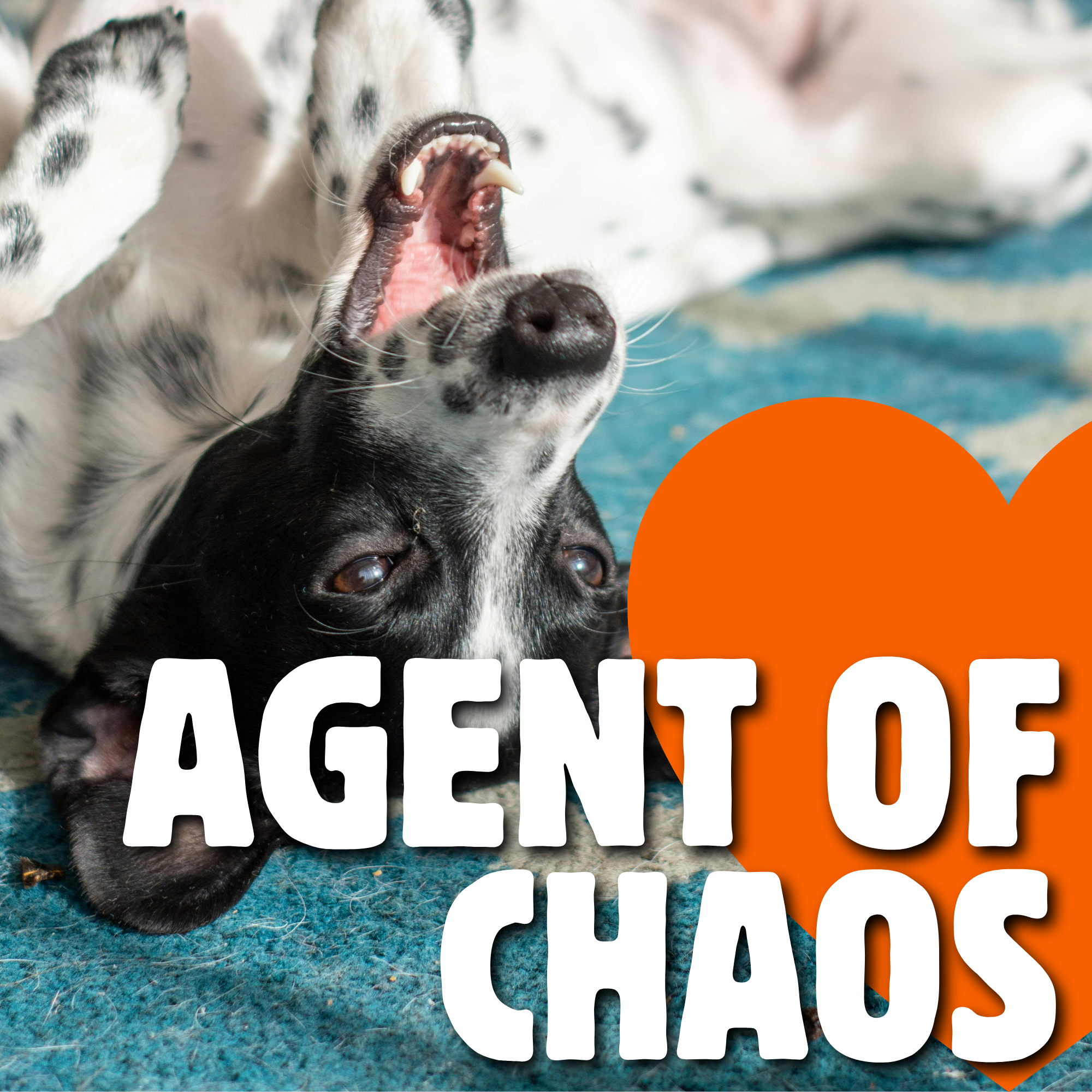 Agent of Chaos